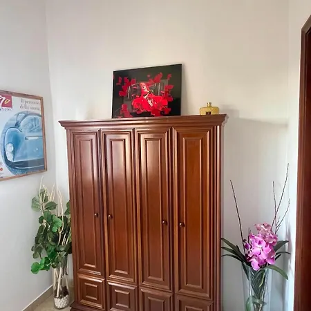 Motor * 马拉内罗